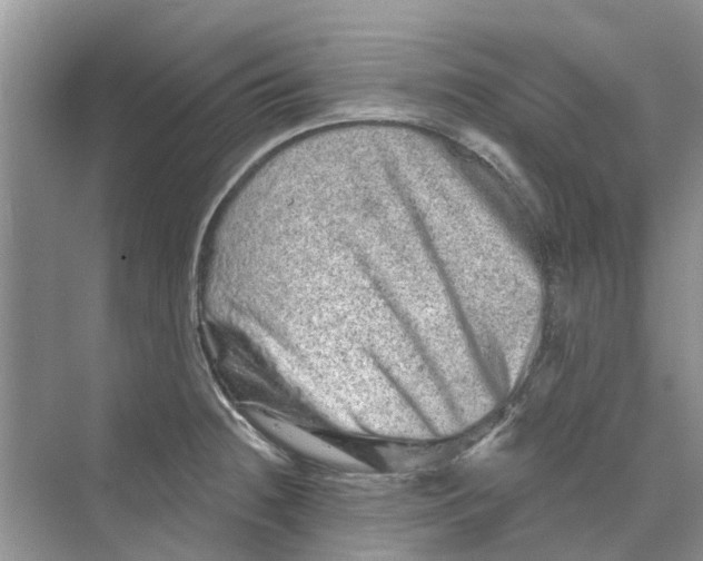 X0000069791236200606091734