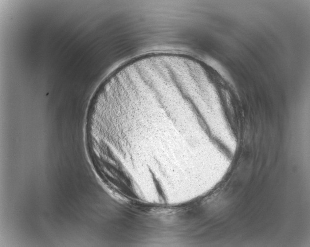 X0000069791237200606091734