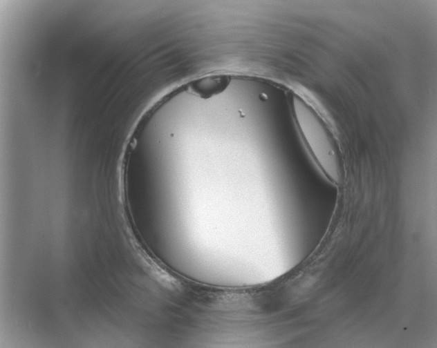 X0000069791238200606091734