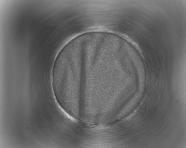 X0000069791239200606091735