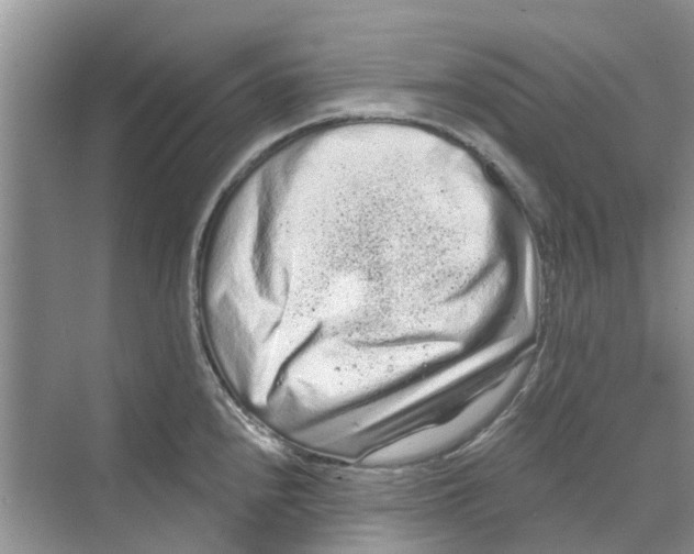 X0000069791240200606091735