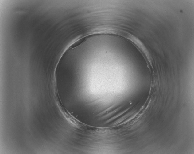 X0000069791242200606091735