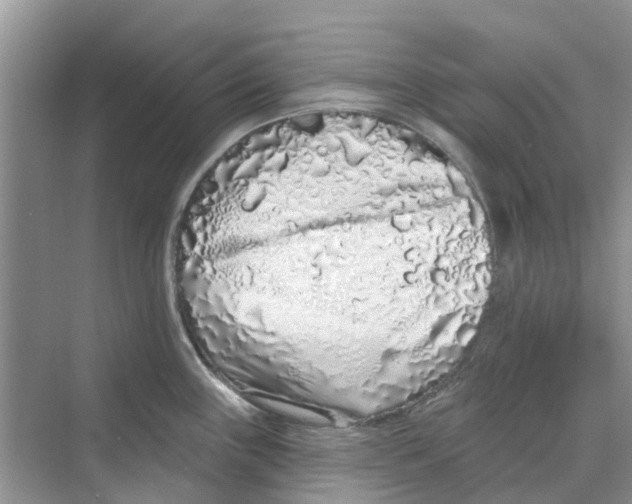 X0000069791243200606091735