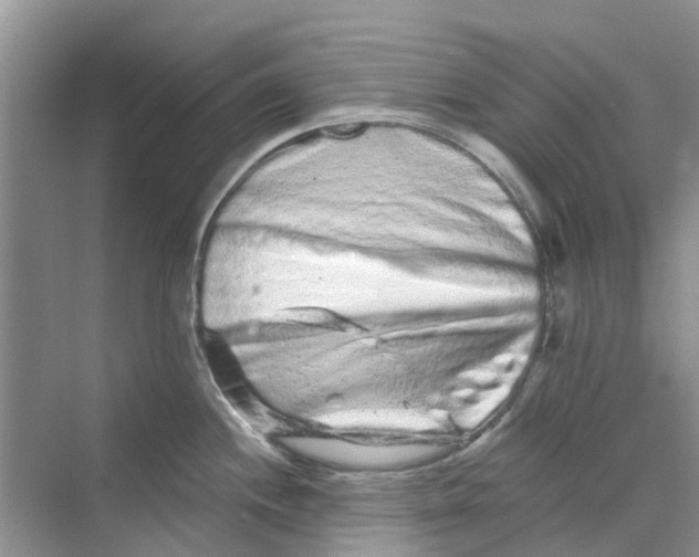 X0000069791244200606091735