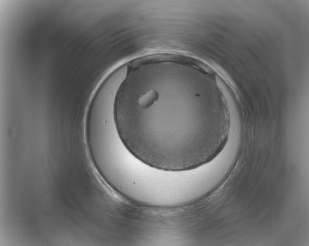 X0000069791246200606091735