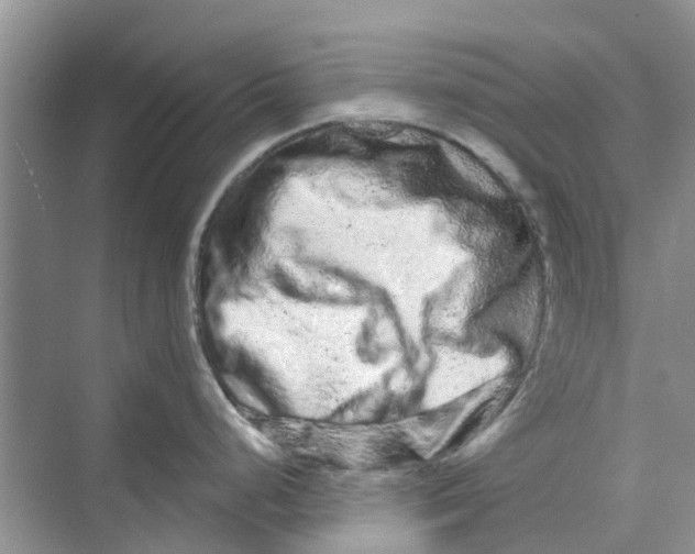 X0000069791248200606091735