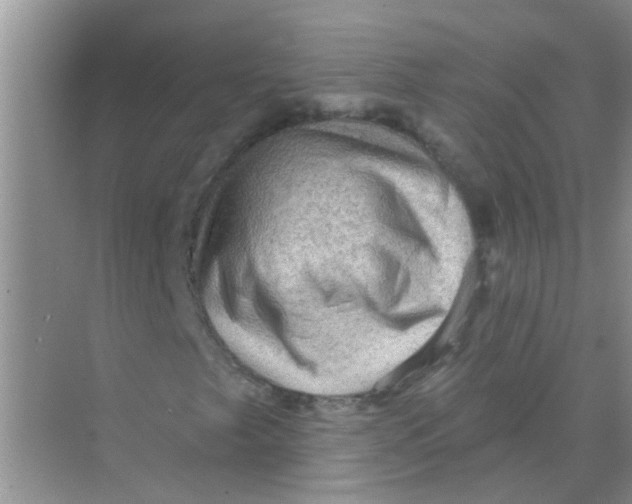 X0000069791249200606091734