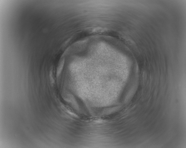 X0000069791250200606091734