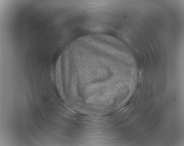 X0000069791251200606091734