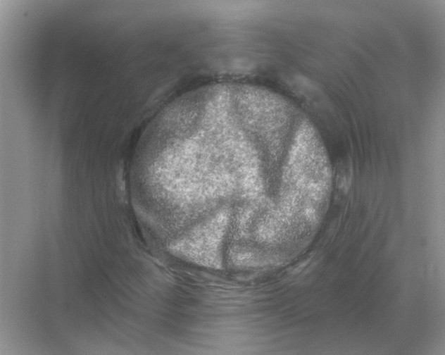 X0000069791252200606091734