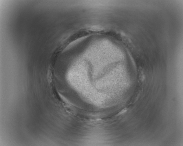 X0000069791253200606091734