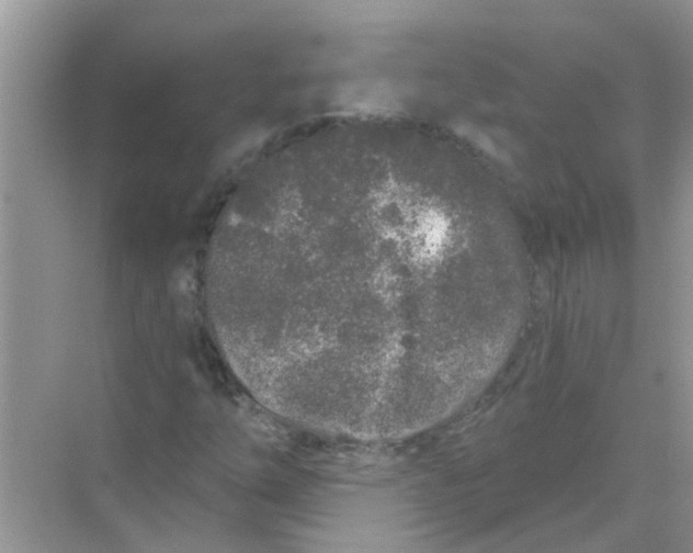 X0000069791254200606091734