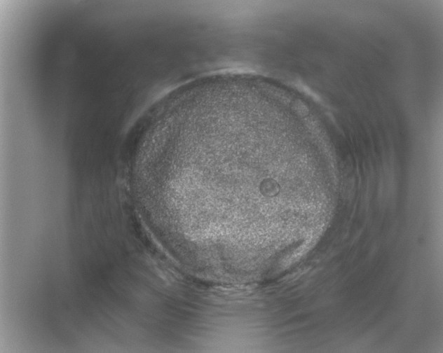 X0000069791255200606091734