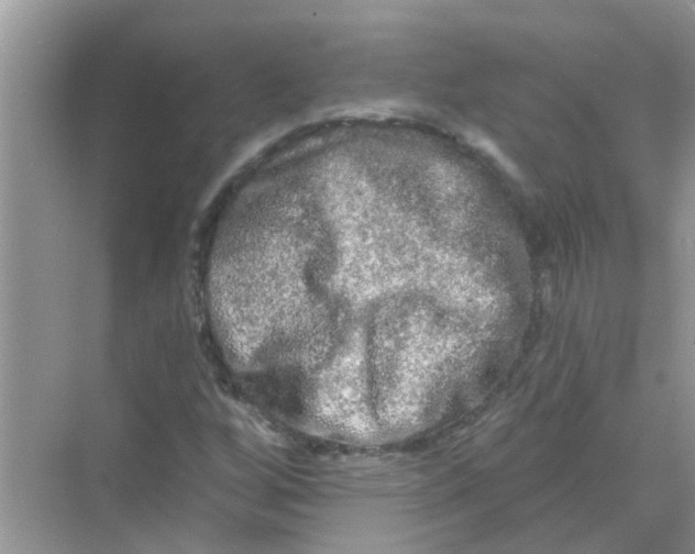 X0000069791256200606091734