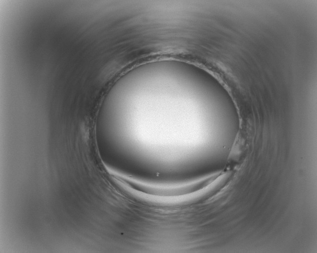 X0000069791257200606091734