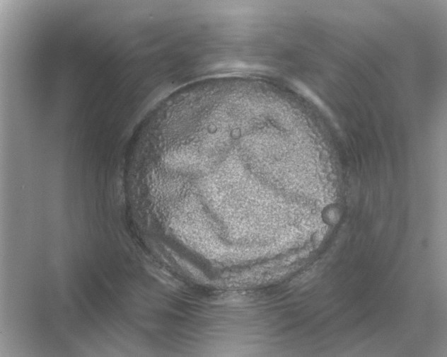 X0000069791259200606091734