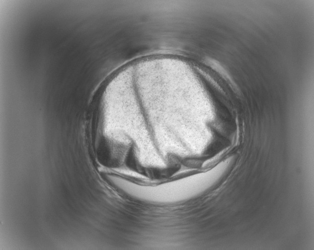 X0000069791260200606091734