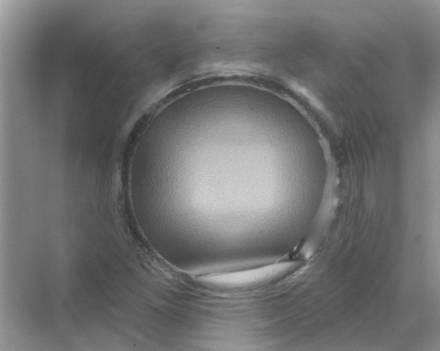 X0000069791261200606091734