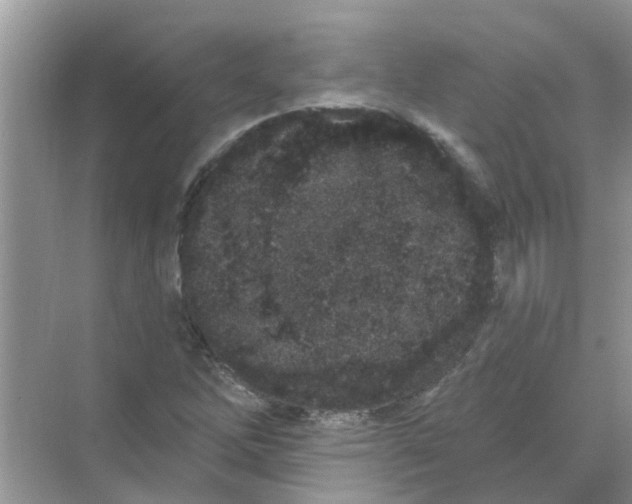 X0000069791262200606091734