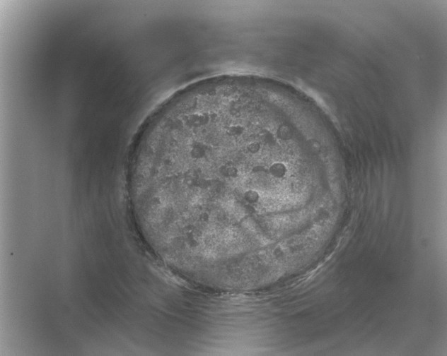 X0000069791263200606091734