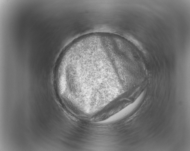 X0000069791264200606091734