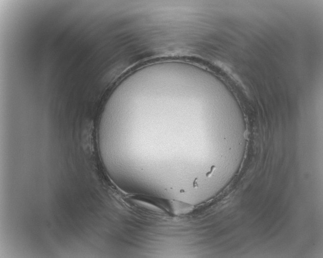 X0000069791265200606091734