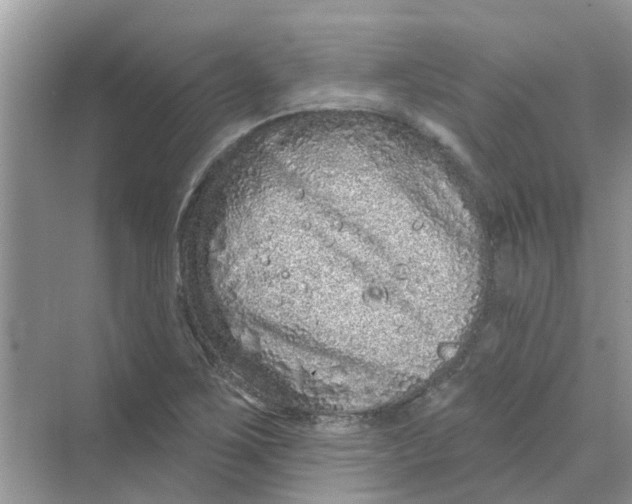 X0000069791267200606091734