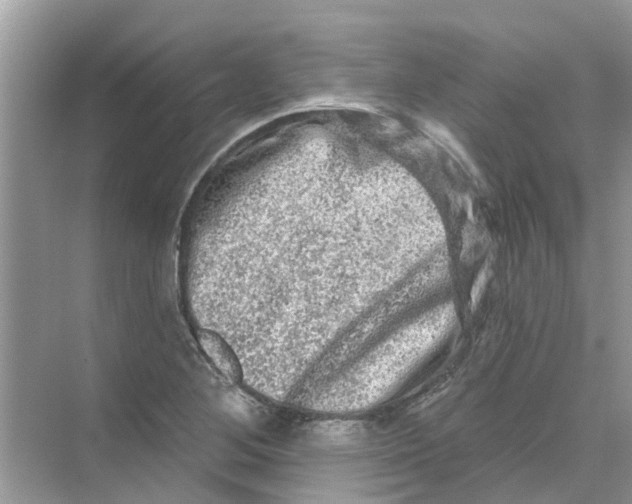 X0000069791268200606091734