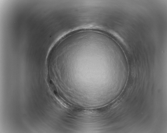 X0000069791270200606091734