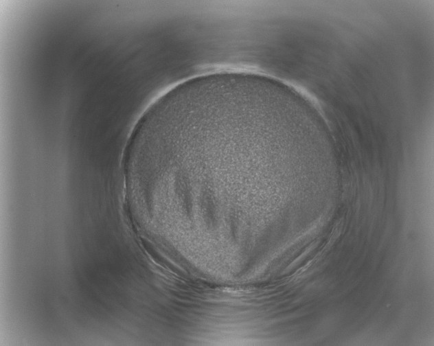 X0000069791271200606091733