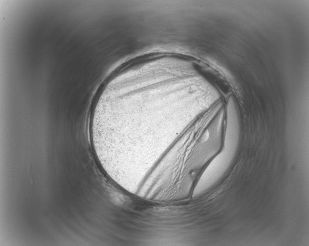 X0000069791272200606091733