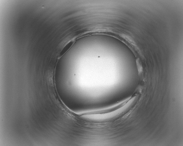 X0000069791273200606091733