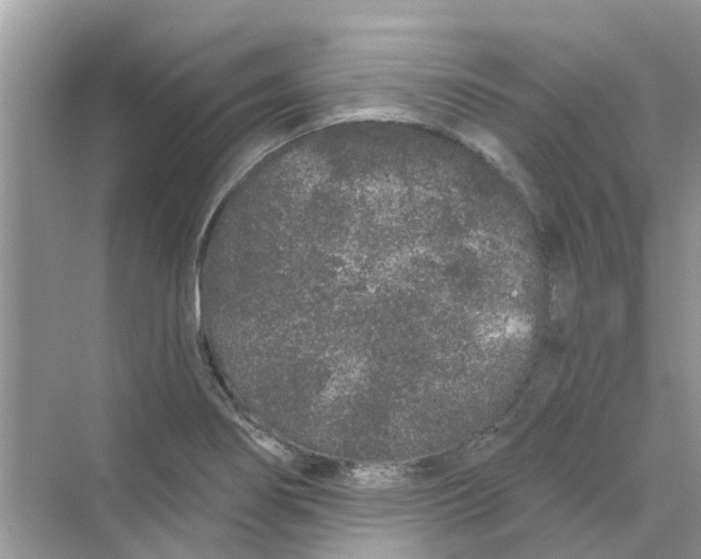 X0000069791274200606091733