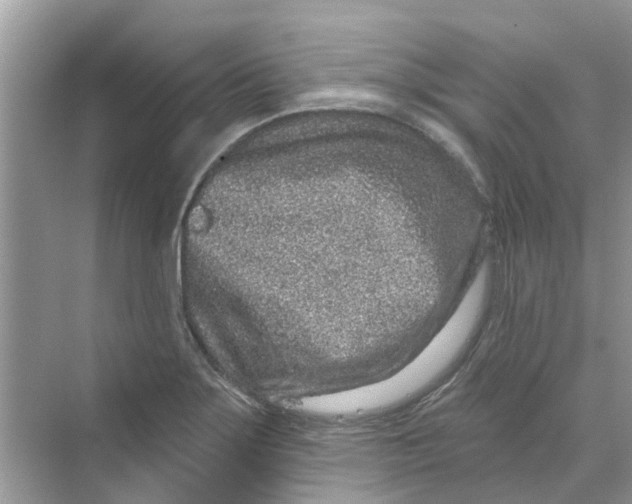 X0000069791275200606091733