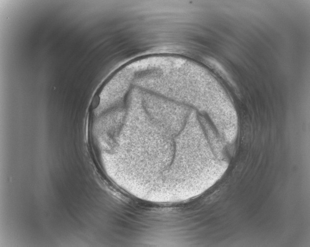 X0000069791276200606091733