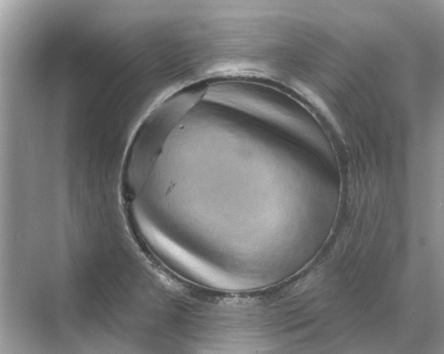 X0000069791277200606091733