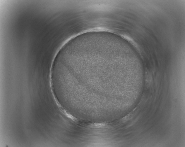 X0000069791278200606091733