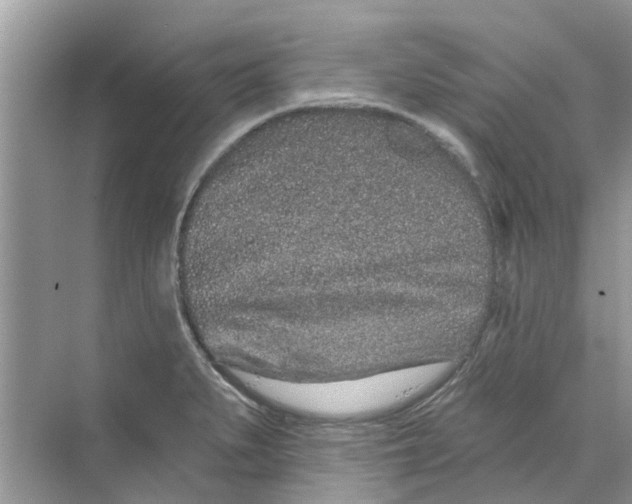 X0000069791279200606091733