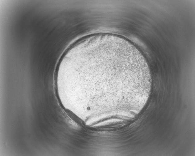 X0000069791280200606091733