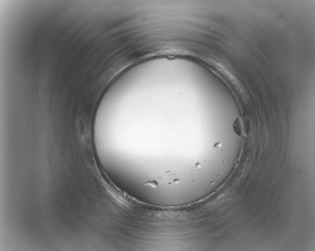 X0000069791281200606091733