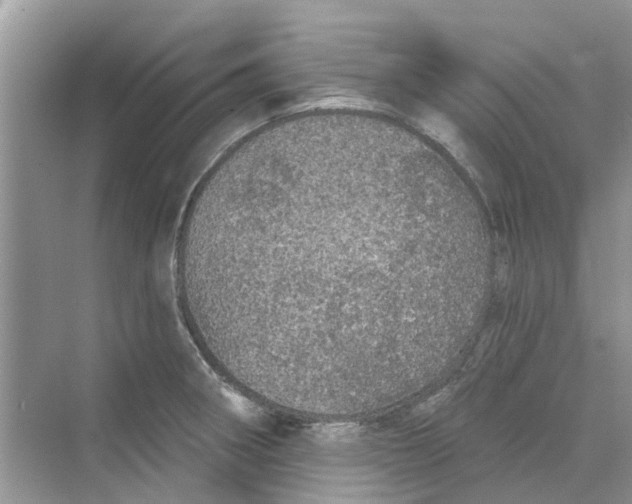 X0000069791282200606091733