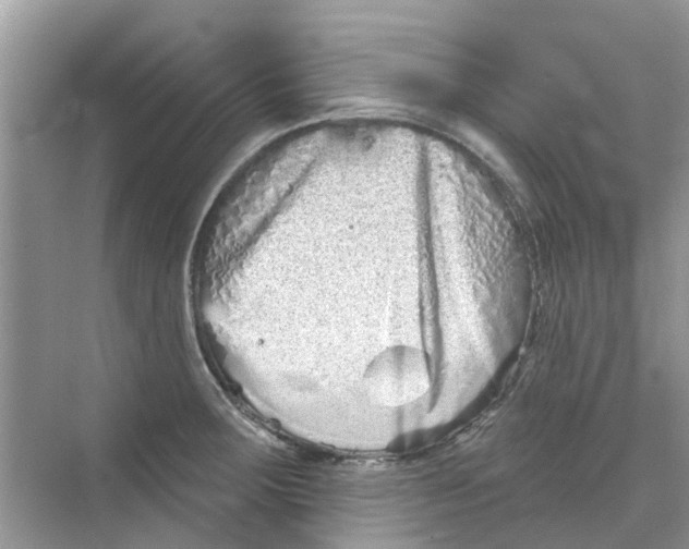 X0000069791283200606091733