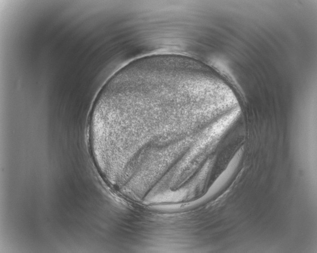 X0000069791284200606091733