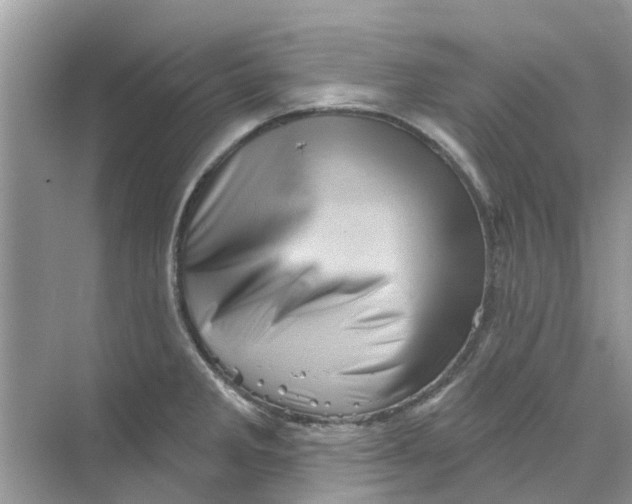 X0000069791285200606091733