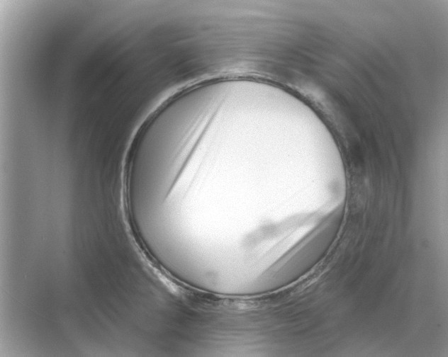 X0000069791286200606091733