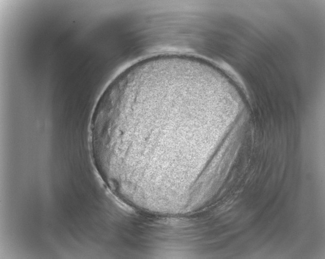 X0000069791287200606091733