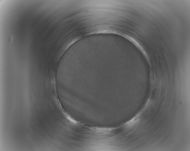 X0000069791289200606091733