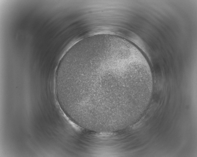 X0000069791290200606091733