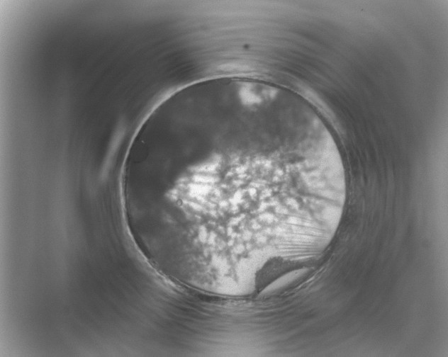 X0000069791291200606091733