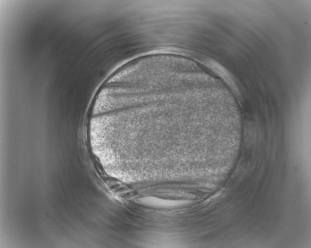 X0000069791292200606091733